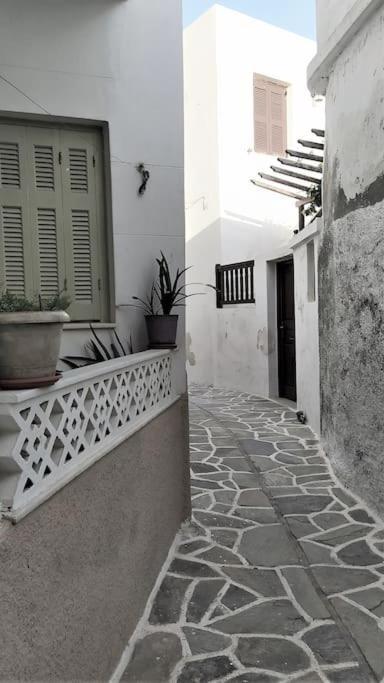 Naxos City Naxion Esti - Διαμονή Στην Παλιά Χώρα Της Νάξου 빌라 외부 사진