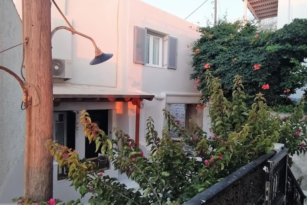 Naxos City Naxion Esti - Διαμονή Στην Παλιά Χώρα Της Νάξου 빌라 외부 사진