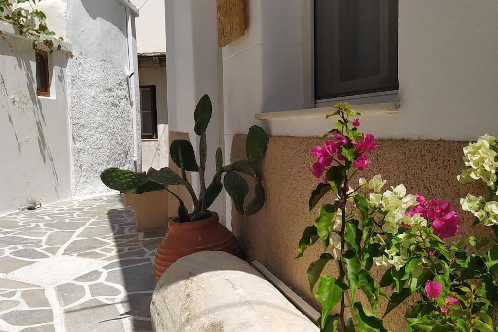Naxos City Naxion Esti - Διαμονή Στην Παλιά Χώρα Της Νάξου 빌라 외부 사진