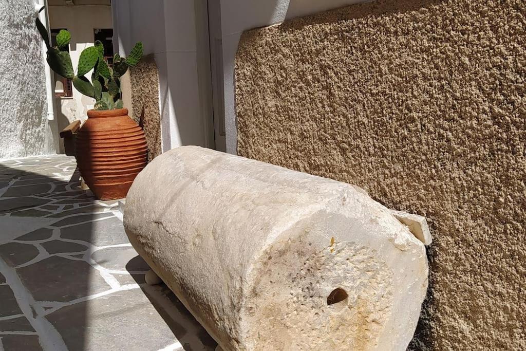 Naxos City Naxion Esti - Διαμονή Στην Παλιά Χώρα Της Νάξου 빌라 외부 사진